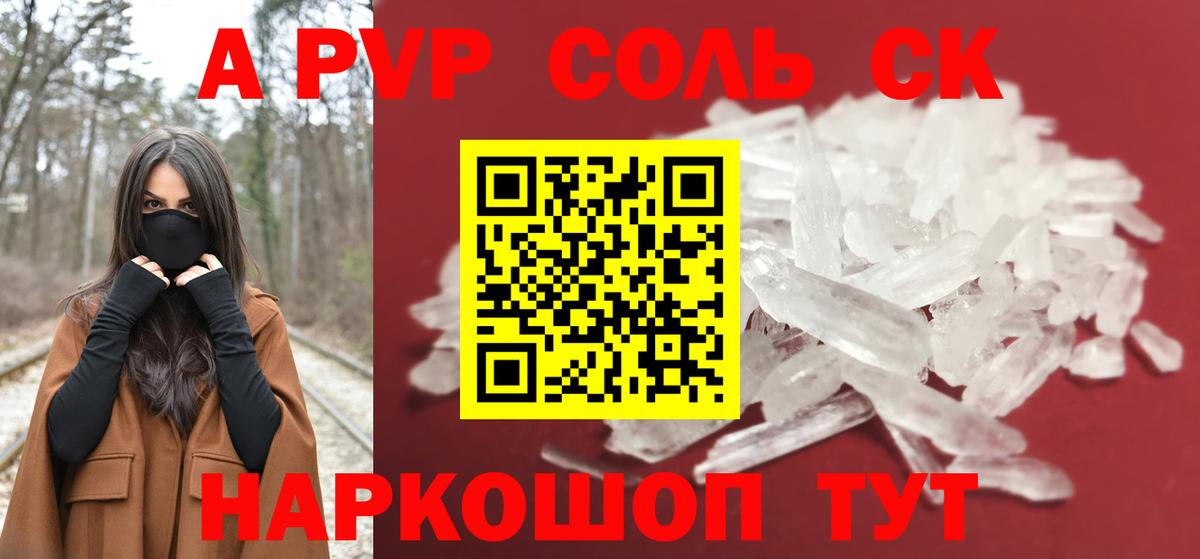 A PVP СК КРИС Киров