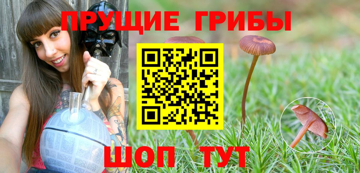 Галлюциногенные грибы ЛСД Киров
