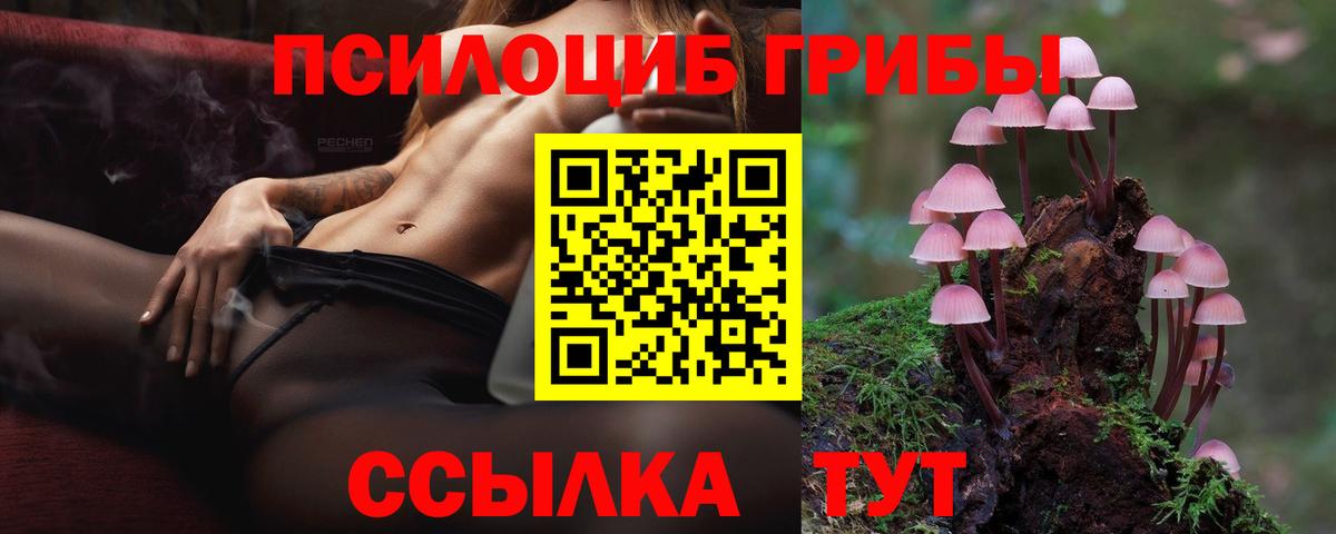 Киров  закладки  Псилоцибиновые грибы MAGIC MUSHROOMS  Вход с VPN  Псилоцибиновые грибы Cubensis 